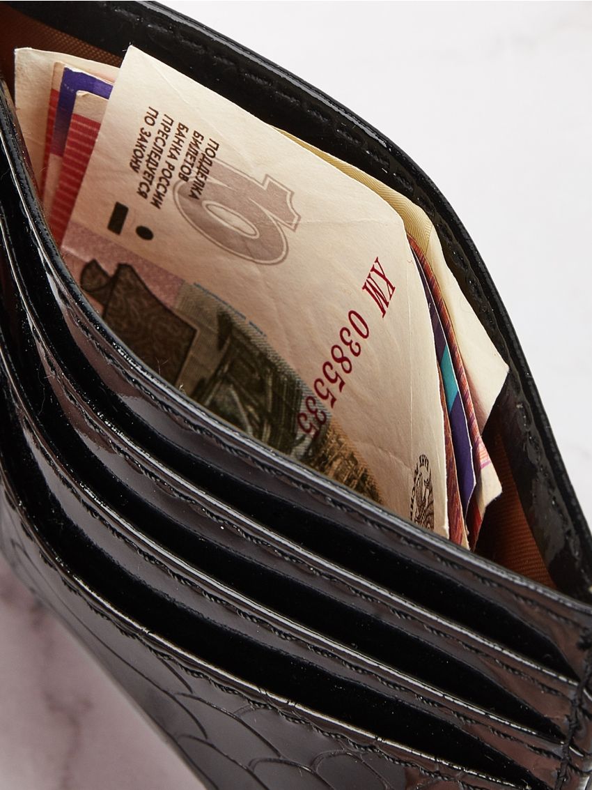 Snakeskin Pattern Purse With Card Holder