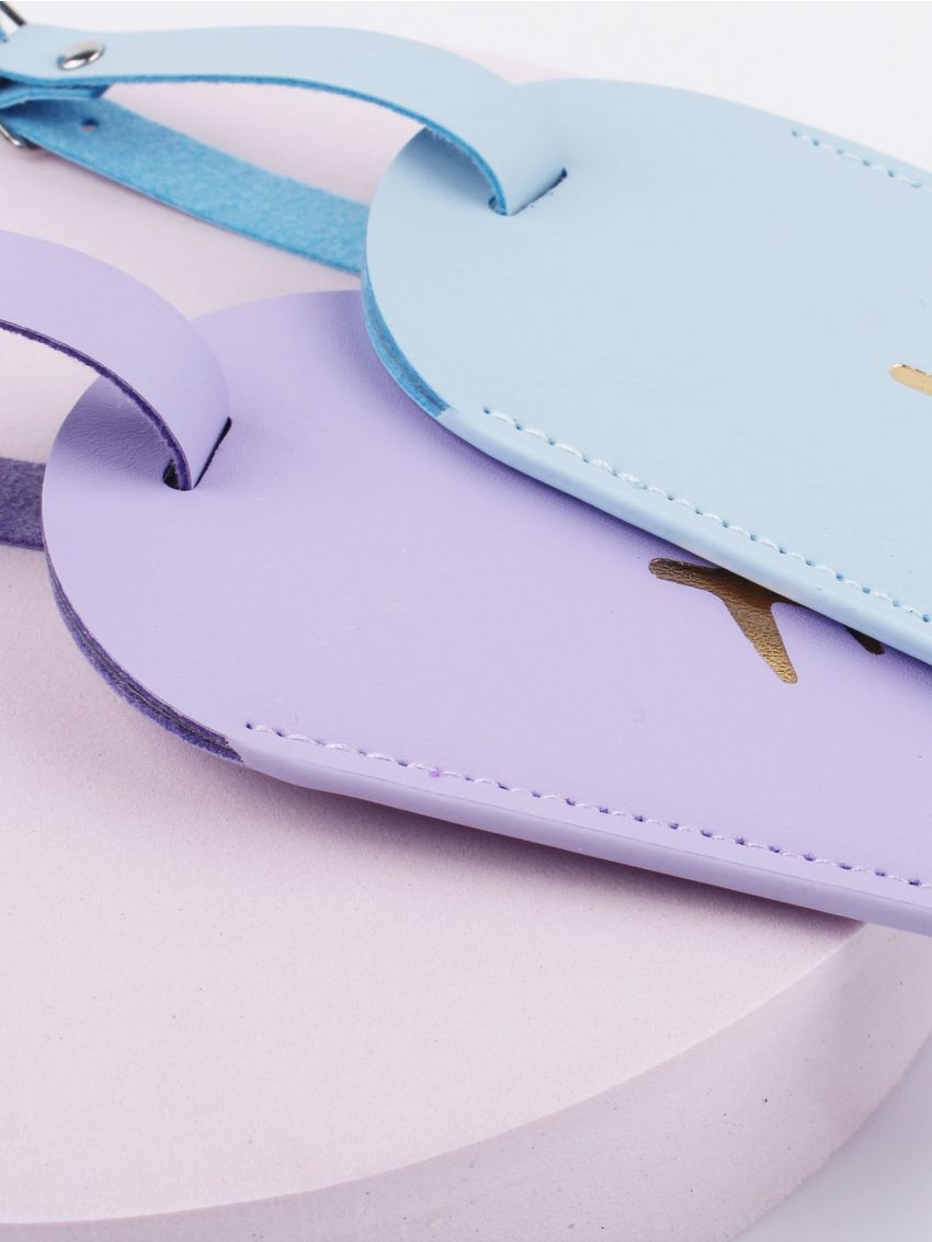 2pcs Plane Graphic Couple Luggage Tag