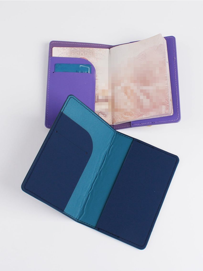 2pcs Plane & Letter Graphic Passport Cases