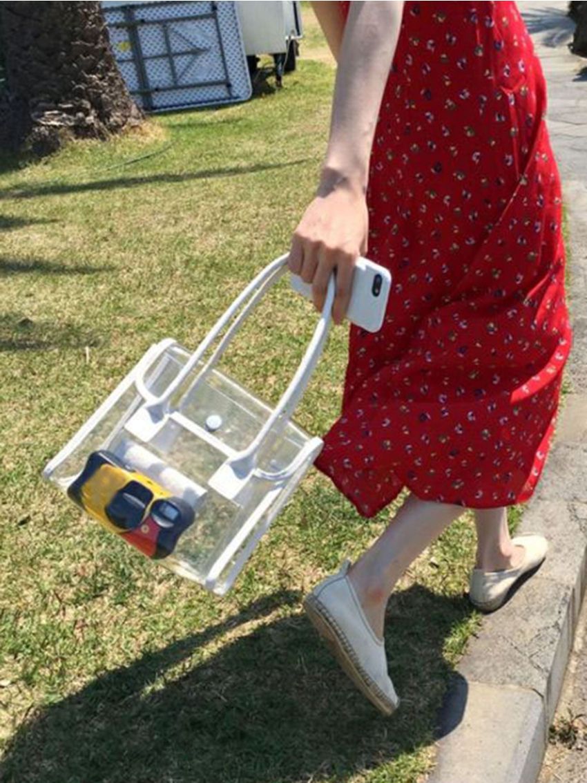 Contrast Binding Flap Transparent Square Bag Without Purse