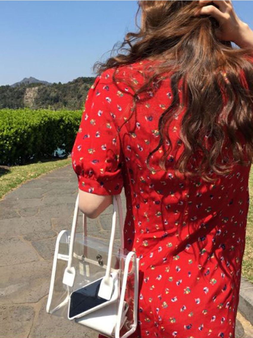 Contrast Binding Flap Transparent Square Bag Without Purse