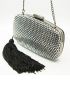 Metallic Tassel Decor Chain Box Bag