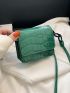 Mini Crocodile Embossed Flap Chain Square Bag