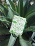 PREMIUM FLORAL GRAPHIC COLORBLOCK SMALL WALLET