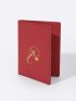 Metallic Airplane & Cloud Pattern Passport Case
