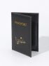 Airplane & Letter Graphic Passport Case