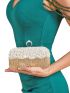 Mini Rhinestone & Pearl & Tassel Decor Box Bag