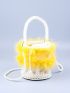 Mini Faux Pearl Decor Bucket Bag With Inner Pouch