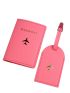 Metallic Airplane Pattern Passport Case With Luggage Tag