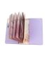 Metallic Airplane & Letter Graphic Passport Case