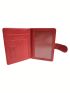Airplane Pattern Burgundy Passport Case For Travel