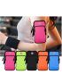 Multi-Function Orange Polyester Zipper Sports Arm Bag For Running