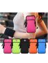 Multi-Function Orange Polyester Zipper Sports Arm Bag For Running