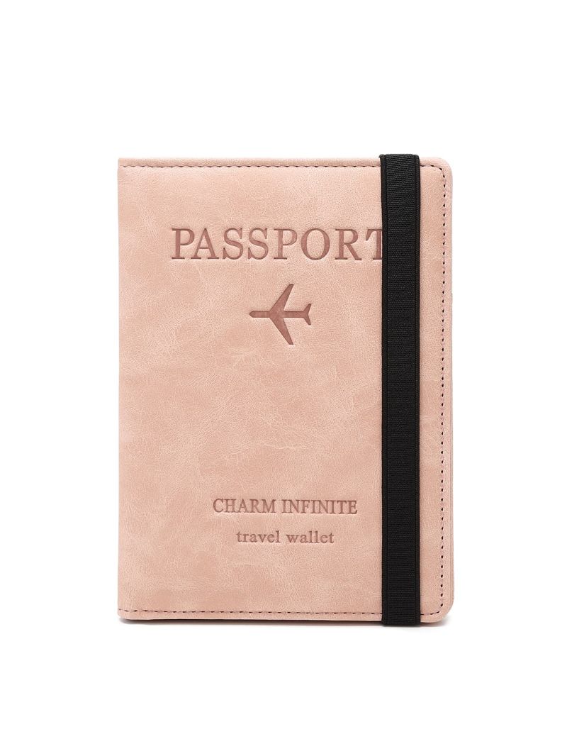 Plane & Letter Graphic Passport Case